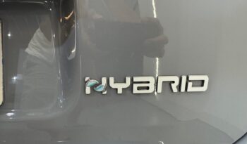 Fiat Panda 1.0GSE Hybrid lleno