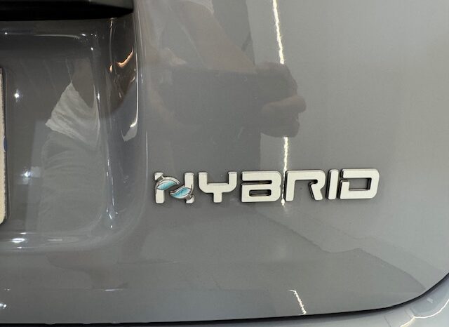 Fiat Panda 1.0GSE Hybrid lleno