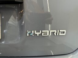 Fiat Panda 1.0GSE Hybrid lleno